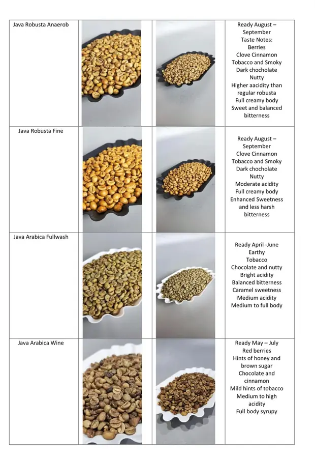 Java Robusta and Arabica beans